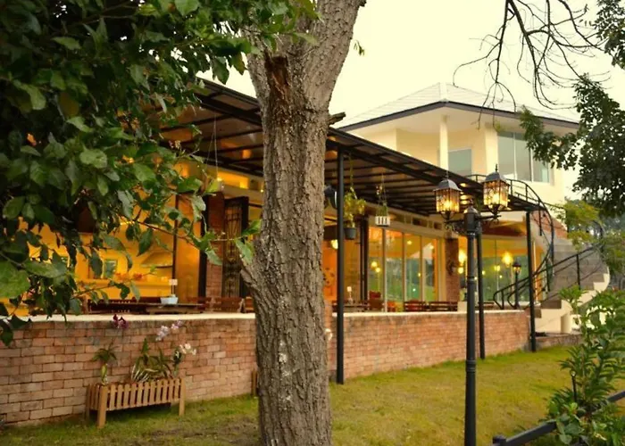 Dandelion Resort